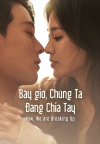 Bây Giờ, Chúng Ta Đang Chia Tay - Now, We Are Breaking Up